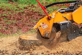 Best Pest Control for Lawns  in Auburndale, FL